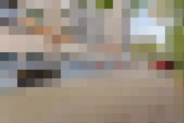 Laan van Borgele 40 F 312 Deventer thumbnail 27
