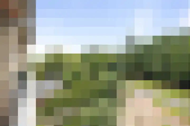 Laan van Borgele 40 F 312 Deventer thumbnail 4