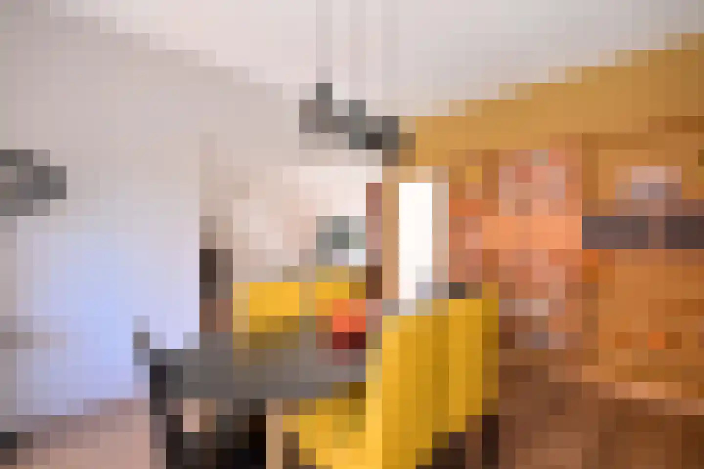 Laan van Borgele 40 F 313 Deventer thumbnail 12