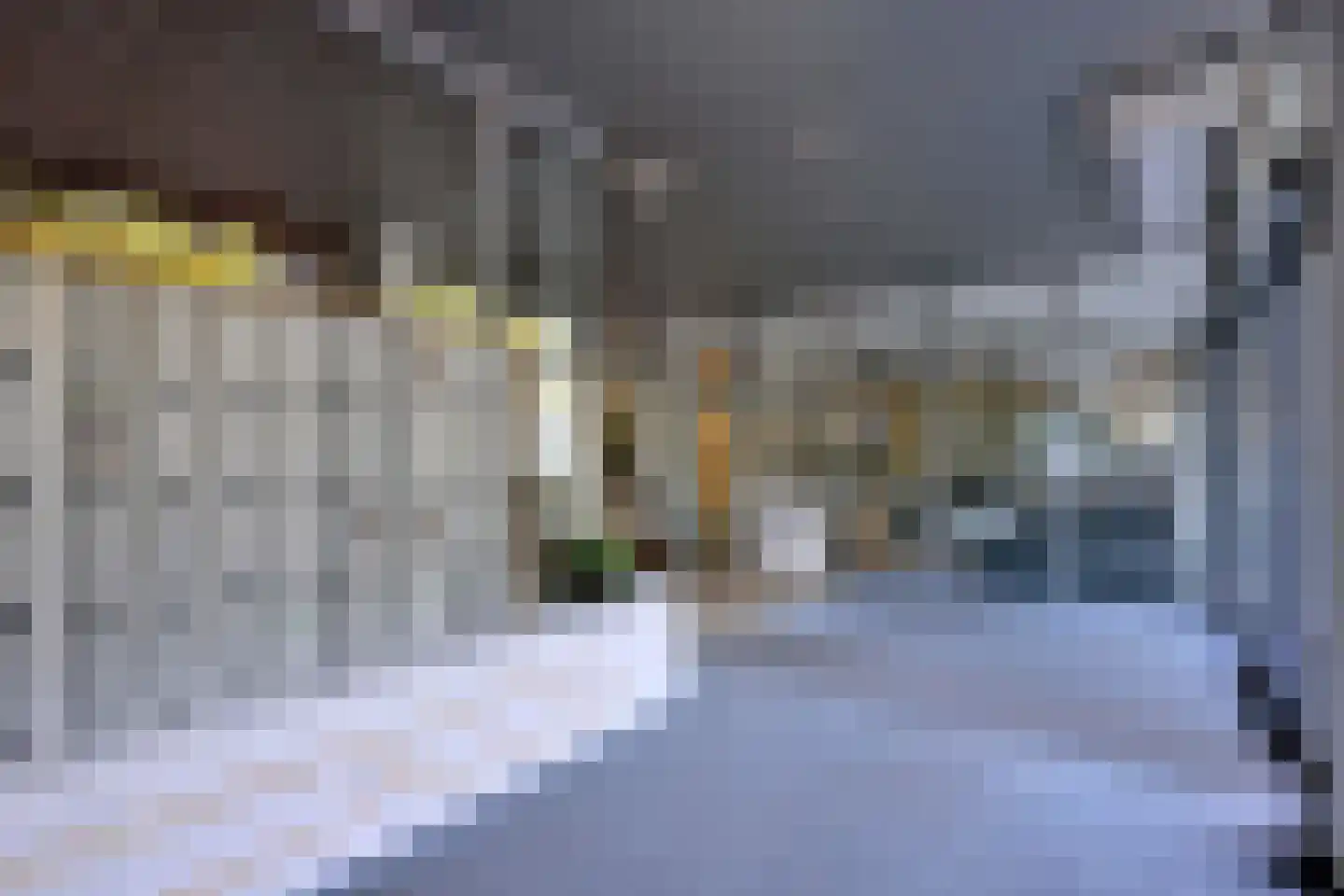 Laan van Borgele 40 F 313 Deventer thumbnail 34