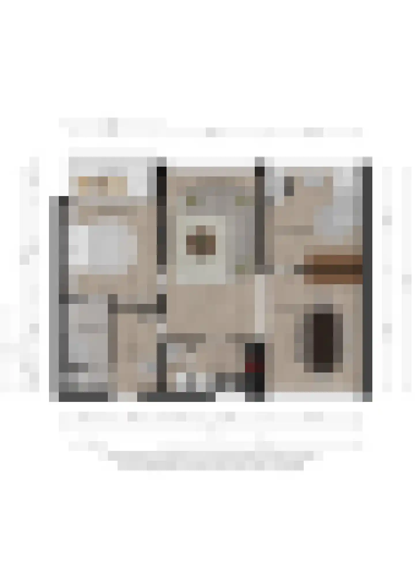 Laan van Borgele 40 F 313 Deventer thumbnail 40