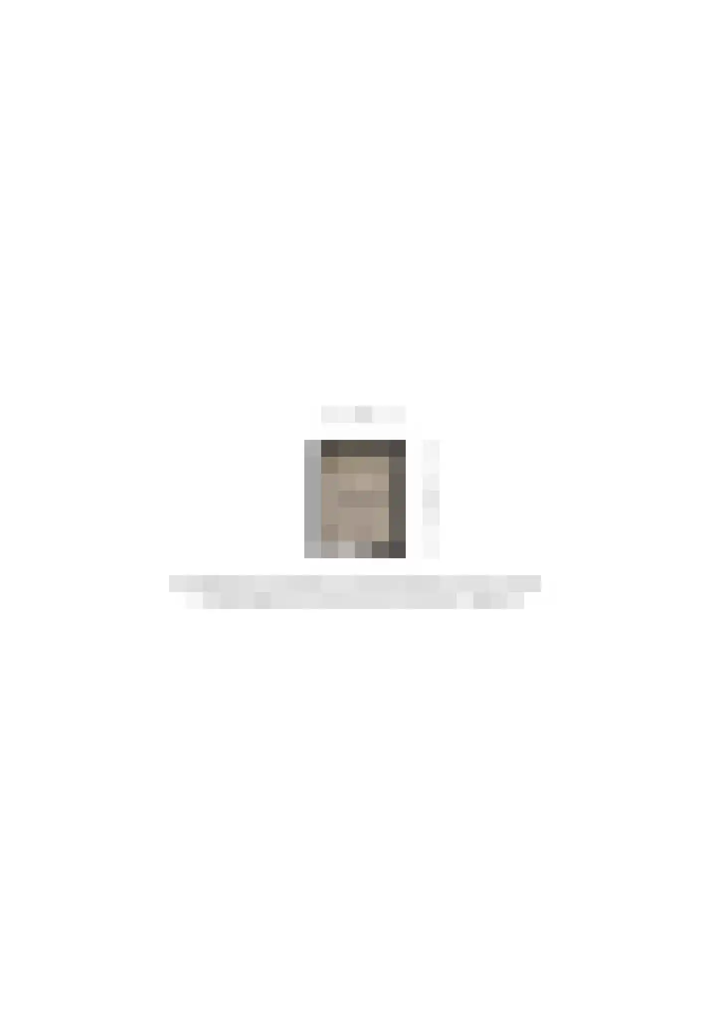 Laan van Borgele 40 F 313 Deventer thumbnail 41