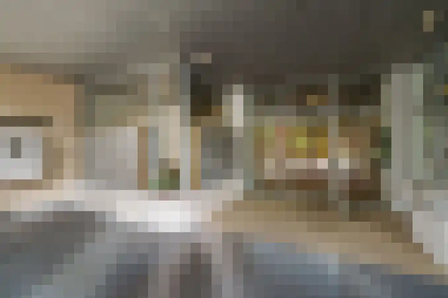 Laan van Borgele 40 F 403 Deventer thumbnail 20