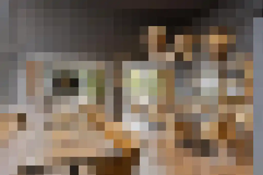 Laan van Borgele 40 F 406 Deventer thumbnail 17