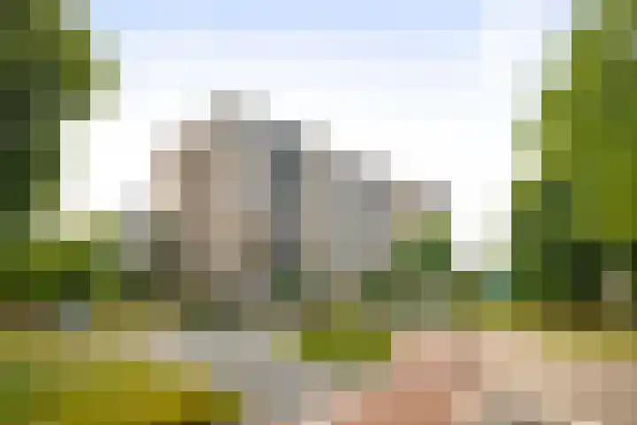 Laan van Borgele 40 F 508 Deventer