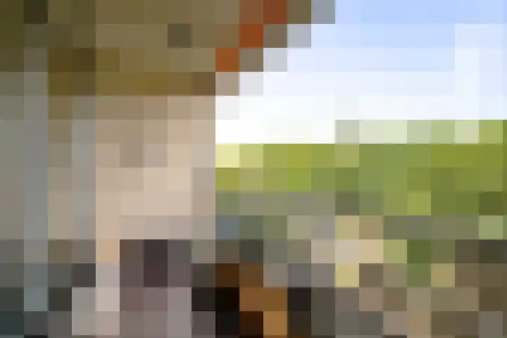 Laan van Borgele 40 F 508 Deventer thumbnail 13