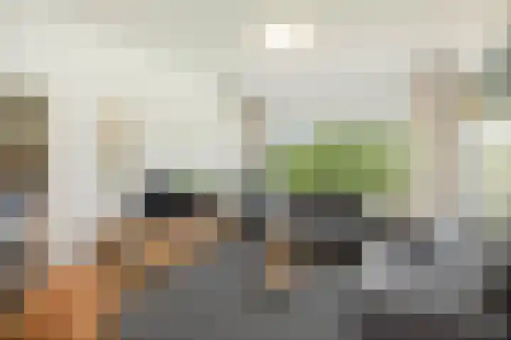 Laan van Borgele 40 F 508 Deventer thumbnail 4
