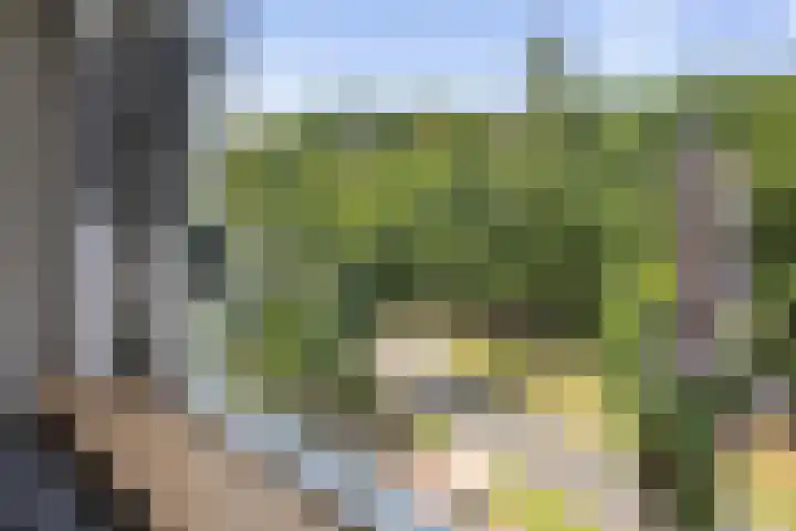 Laan van Borgele 40 F 508 Deventer thumbnail 5