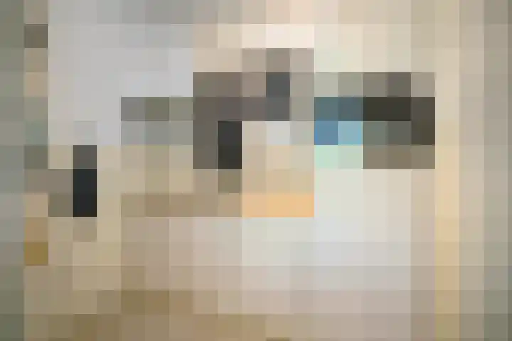 Laan van Borgele 40 F 508 Deventer thumbnail 8