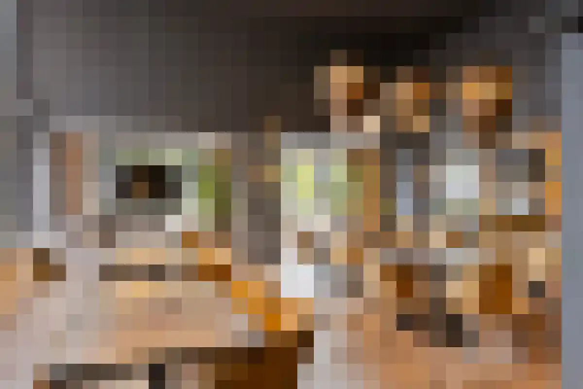 Laan van Borgele 40 F 609 Deventer thumbnail 22