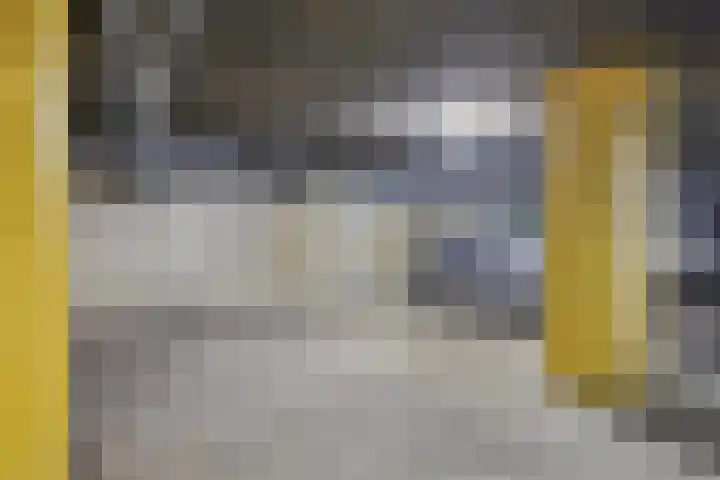 Laan van Borgele 40 F 612 Deventer thumbnail 22