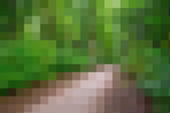 Laan van Borgele 40 F 808 Deventer thumbnail 20