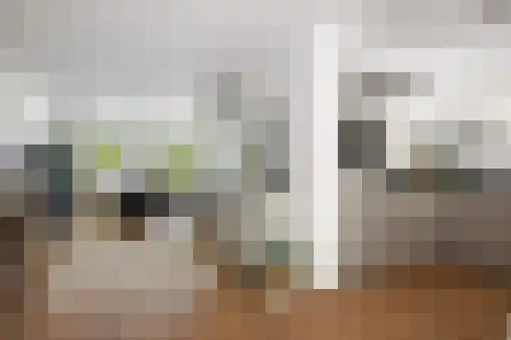 Laan van Borgele 45 Deventer thumbnail 10