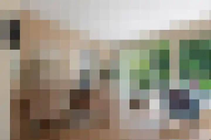 Laan van Borgele 45 Deventer thumbnail 12