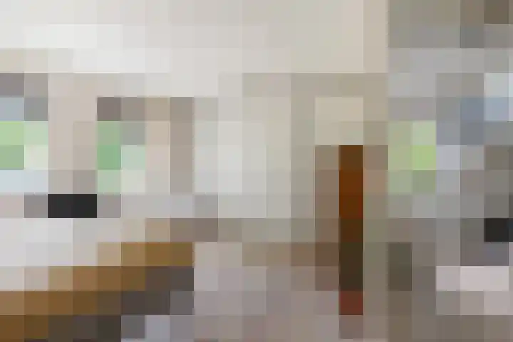 Laan van Borgele 45 Deventer thumbnail 20