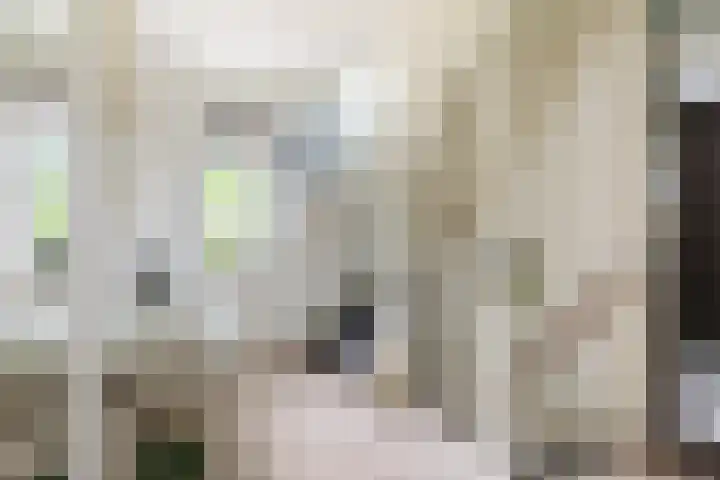 Laan van Borgele 45 Deventer thumbnail 24