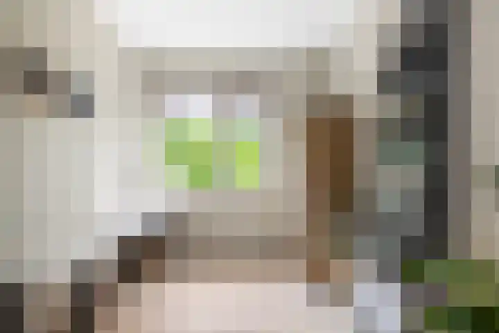 Laan van Borgele 45 Deventer thumbnail 26