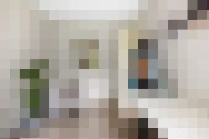 Laan van Borgele 45 Deventer thumbnail 27