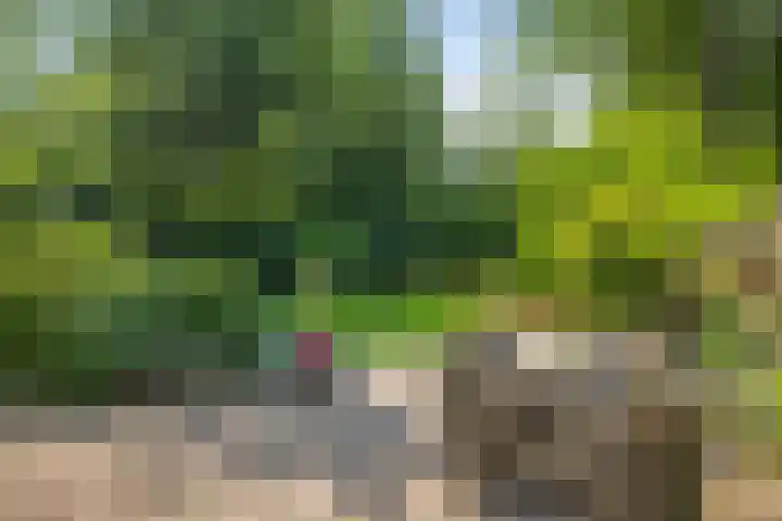 Laan van Borgele 45 Deventer thumbnail 32