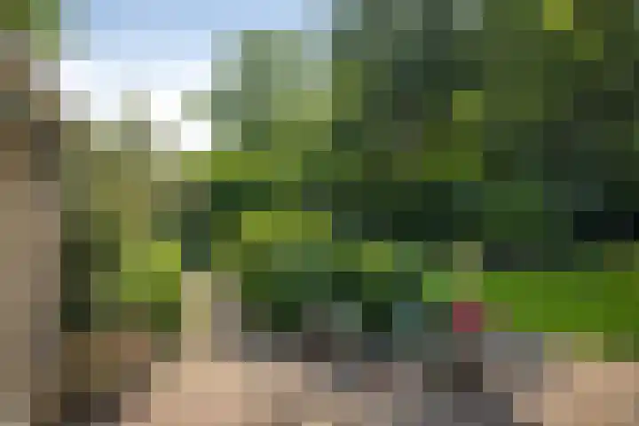 Laan van Borgele 45 Deventer thumbnail 33