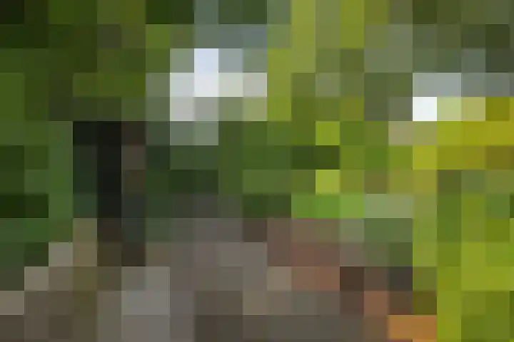 Laan van Borgele 45 Deventer thumbnail 34