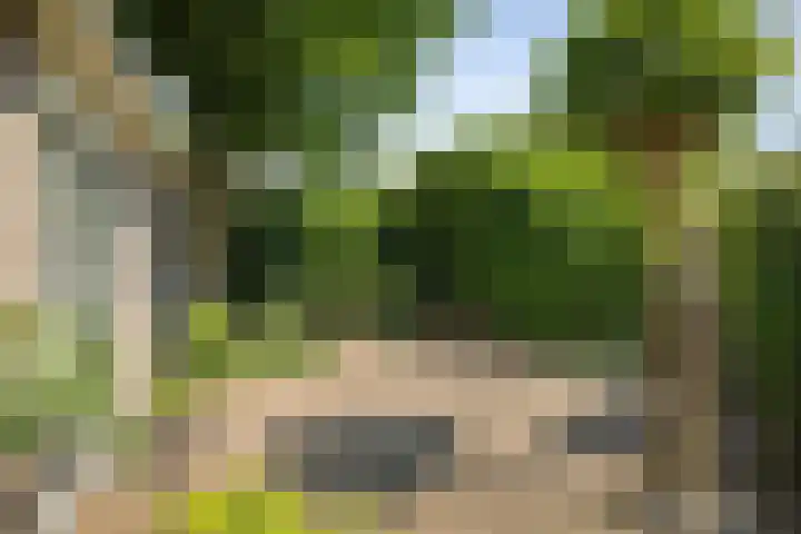 Laan van Borgele 45 Deventer thumbnail 35