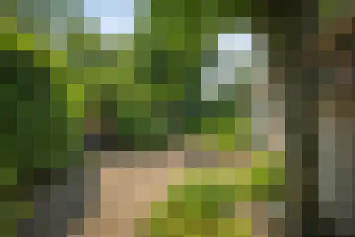 Laan van Borgele 45 Deventer thumbnail 36