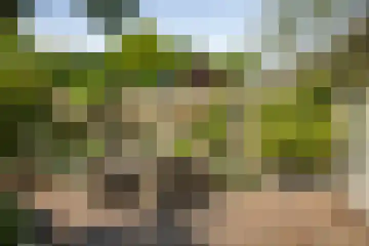 Laan van Borgele 45 Deventer thumbnail 37