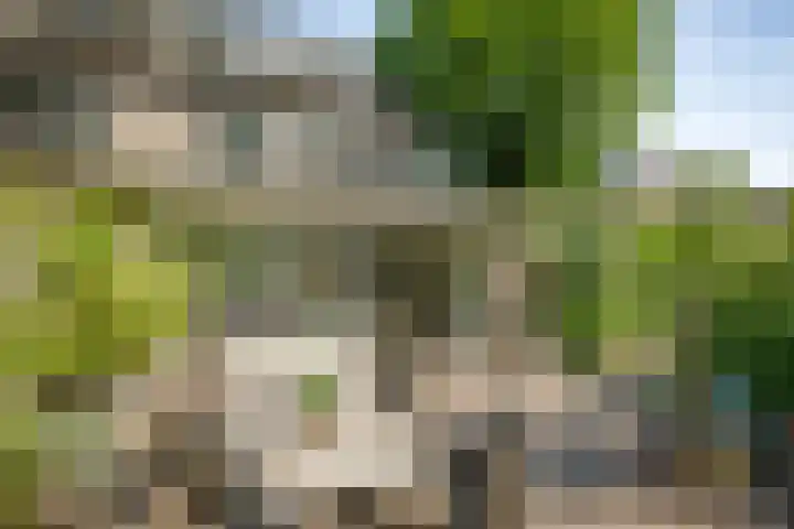 Laan van Borgele 45 Deventer thumbnail 38