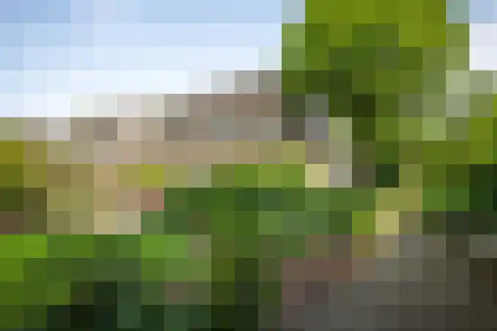 Laan van Borgele 45 Deventer thumbnail 39