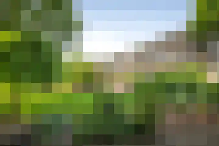 Laan van Borgele 45 Deventer thumbnail 40