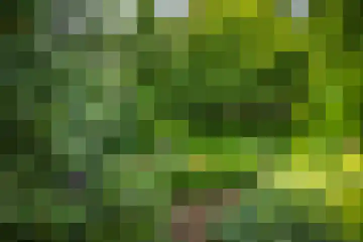 Laan van Borgele 45 Deventer thumbnail 41