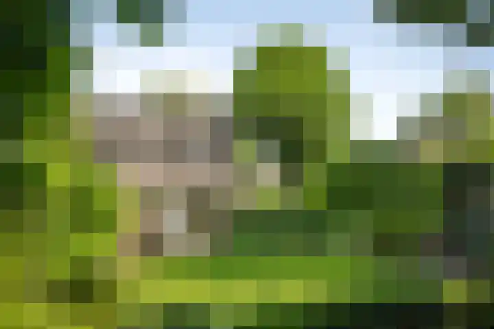 Laan van Borgele 45 Deventer thumbnail 43