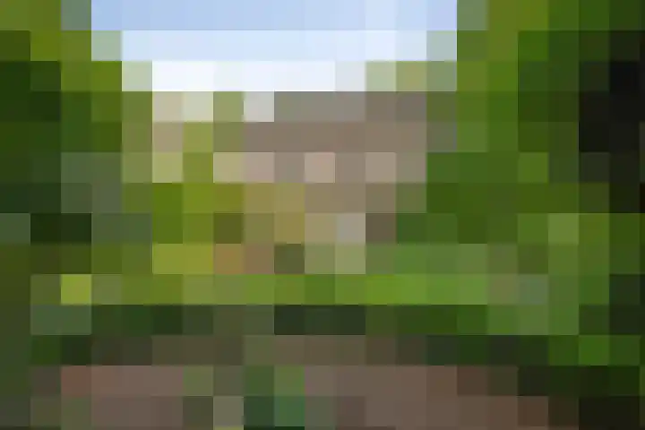 Laan van Borgele 45 Deventer thumbnail 44