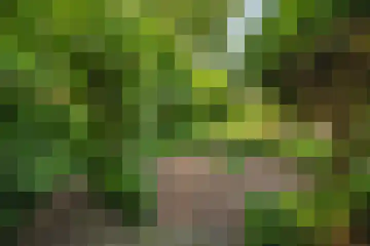 Laan van Borgele 45 Deventer thumbnail 45