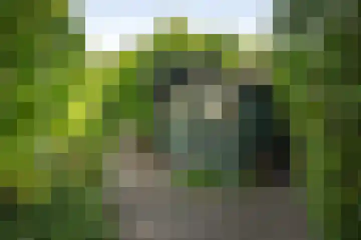 Laan van Borgele 45 Deventer thumbnail 46