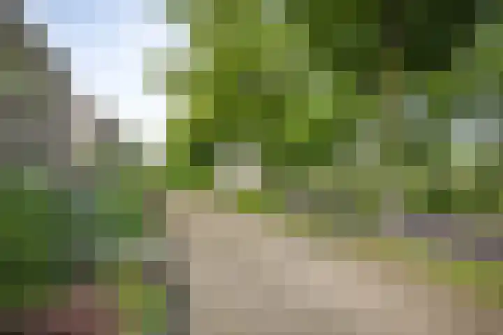 Laan van Borgele 45 Deventer thumbnail 47