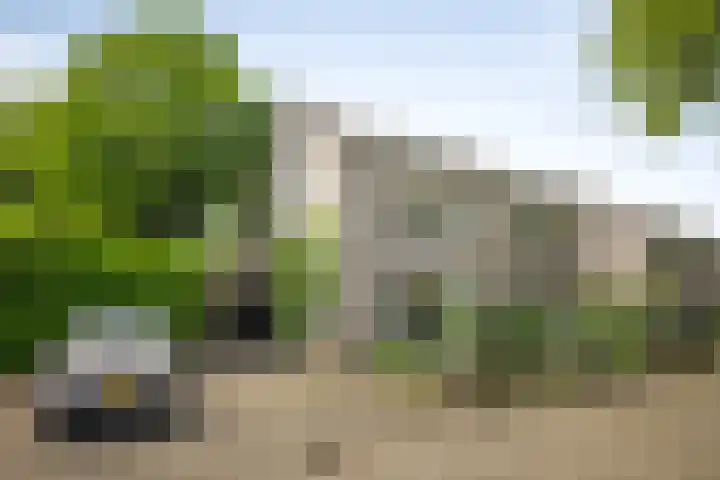 Laan van Borgele 45 Deventer thumbnail 48