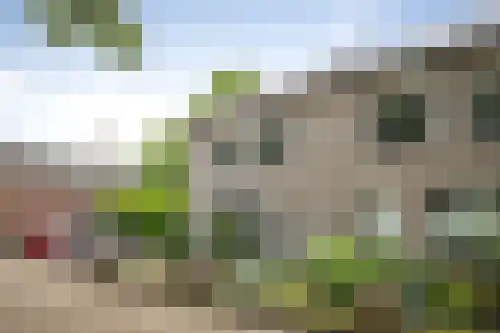 Laan van Borgele 45 Deventer thumbnail 49