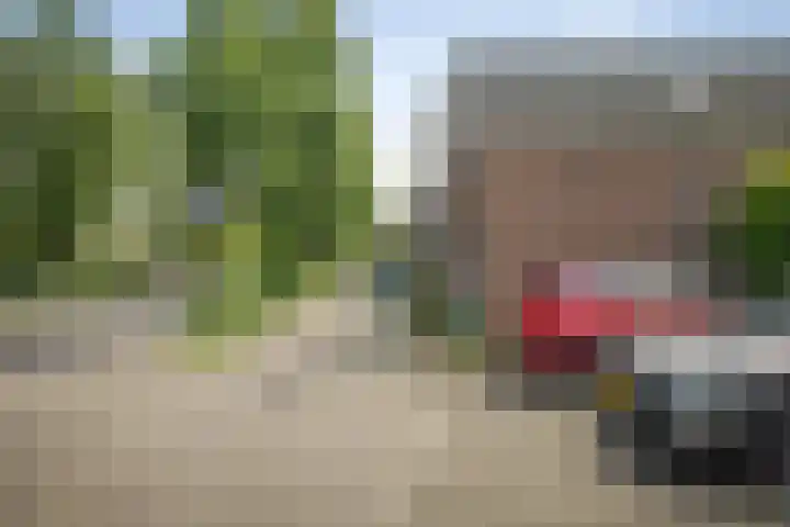 Laan van Borgele 45 Deventer thumbnail 50