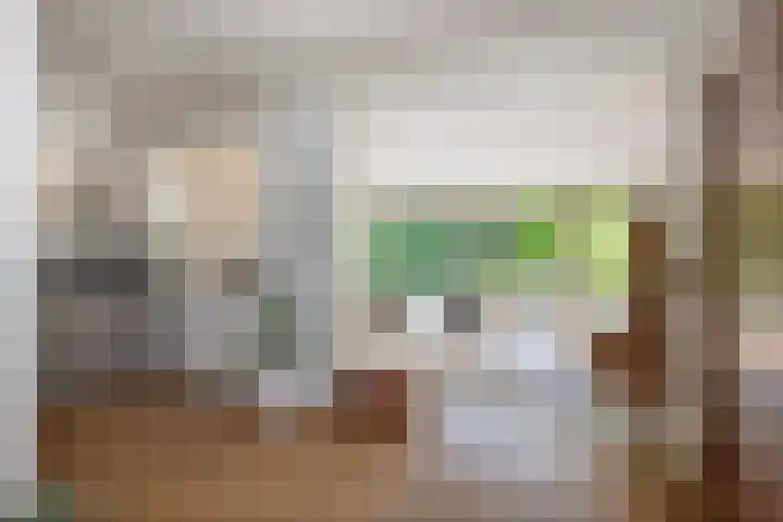Laan van Borgele 45 Deventer thumbnail 8