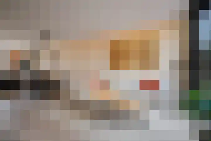 Laan van Borgele 97 Deventer thumbnail 14