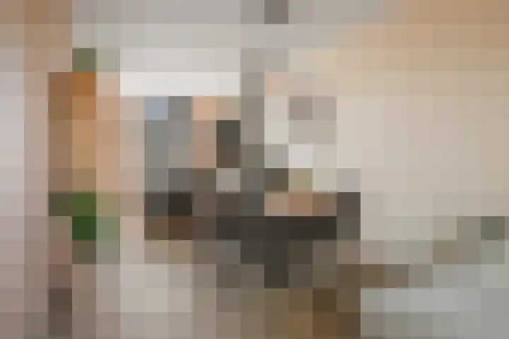 Laan van Borgele 97 Deventer thumbnail 16
