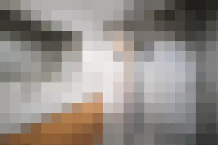 Laan van Borgele 97 Deventer thumbnail 24