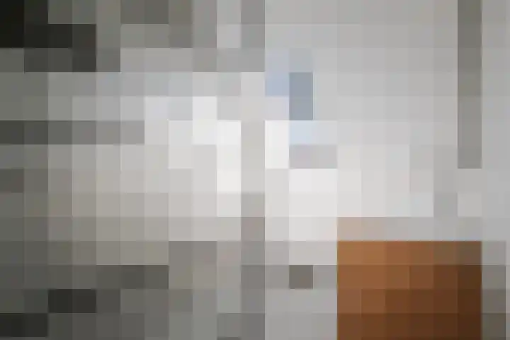 Laan van Borgele 97 Deventer thumbnail 26