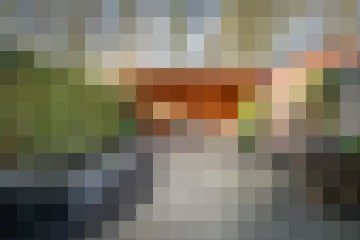 Laan van Borgele 97 Deventer thumbnail 29
