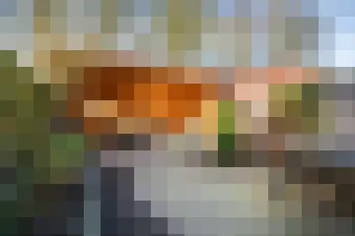 Laan van Borgele 97 Deventer thumbnail 30