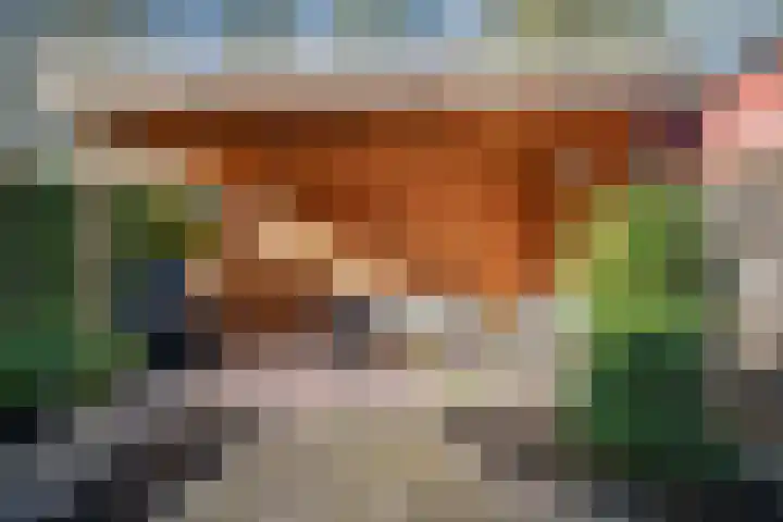 Laan van Borgele 97 Deventer thumbnail 31