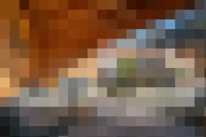 Laan van Borgele 97 Deventer thumbnail 32