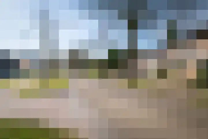 Laan van Borgele 97 Deventer thumbnail 34